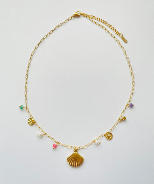 Coral Shell